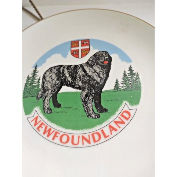 Collector Plate Canada Newfoundland Coat of Arms & Newfoundland Dog 9 1/2" - Picture 3 of 8